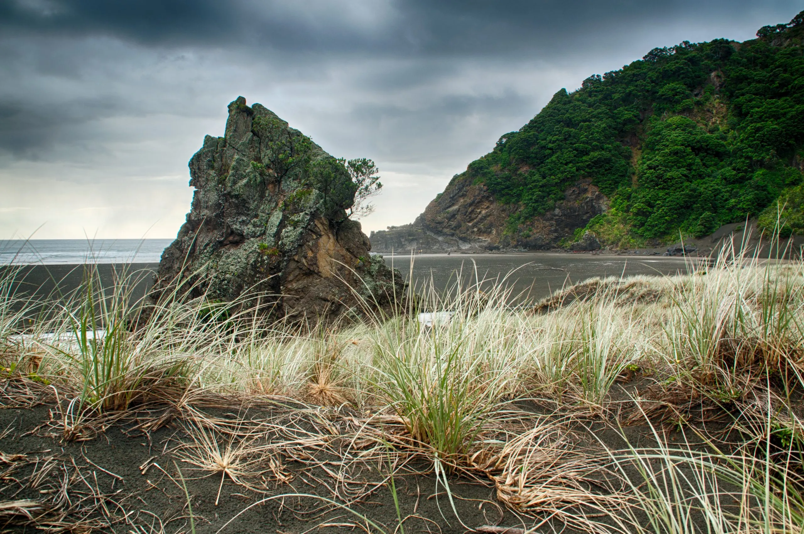 Dune grasses on black sand beach with a large, mossy rock formation on the left and a lush, green, forested hill on the right under a dark, cloudy sky
