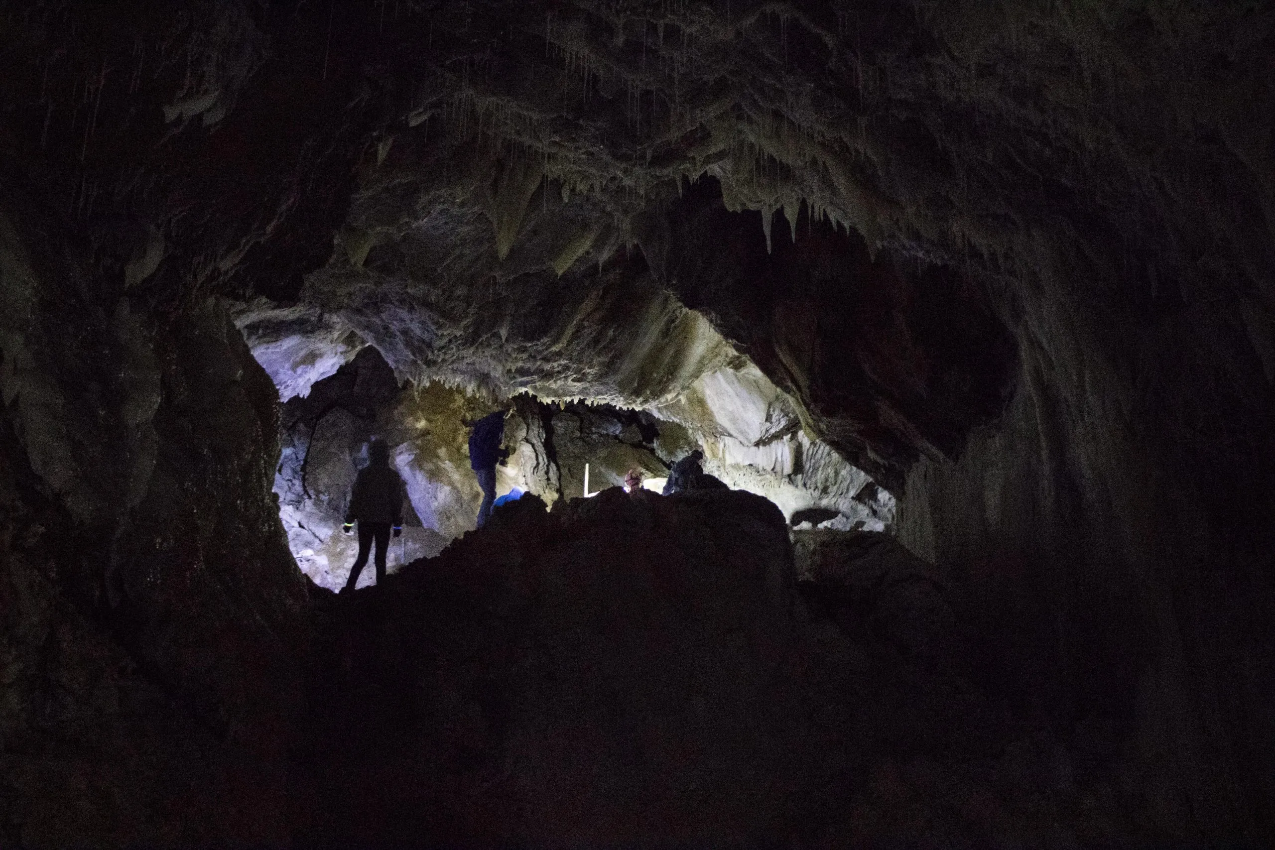 Silhouetted figures stand within a dark cave with stalactites hanging from the roof, illuminated by bright light from a passage or lamp behind them