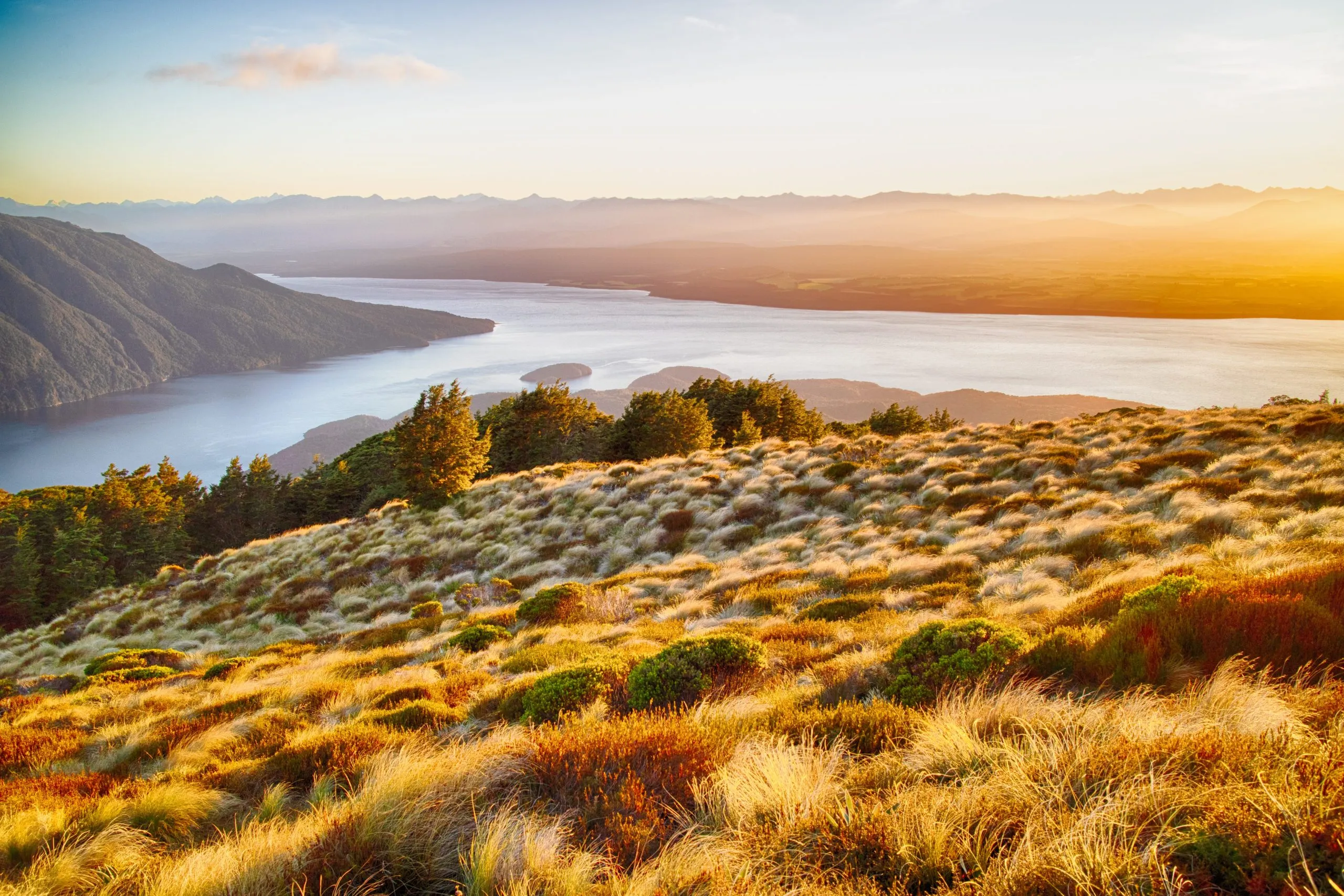 Golden tussock grass on a mountain ridge overlooks a vast, winding lake and distant hazy mountain ranges during sunset